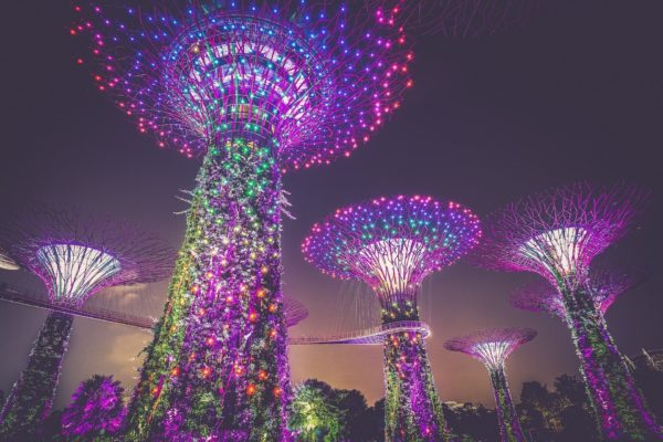 Künstliche Bäume aus Licht und Kunst in Singapur